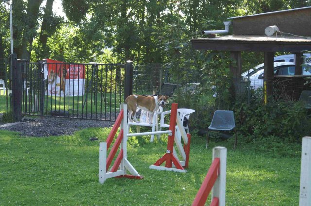agility 2011-08